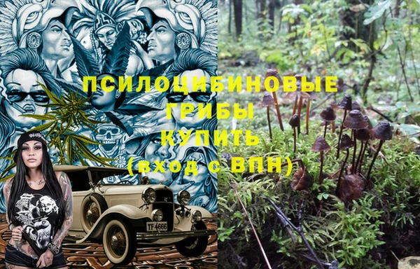 эйфоретик Богородск