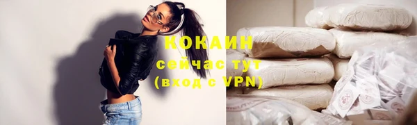 СК Богородицк