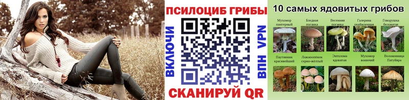 Псилоцибиновые грибы прущие грибы  это состав  гидра   Острогожск  купить наркотики сайты 